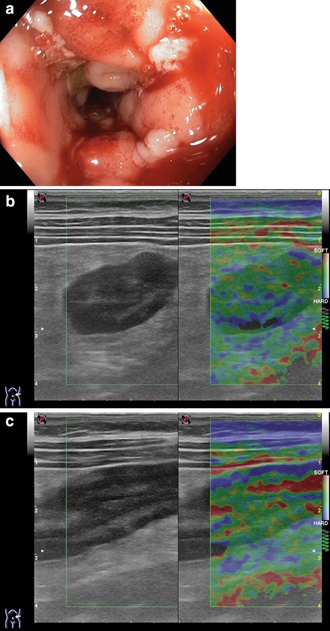 Fig. 9