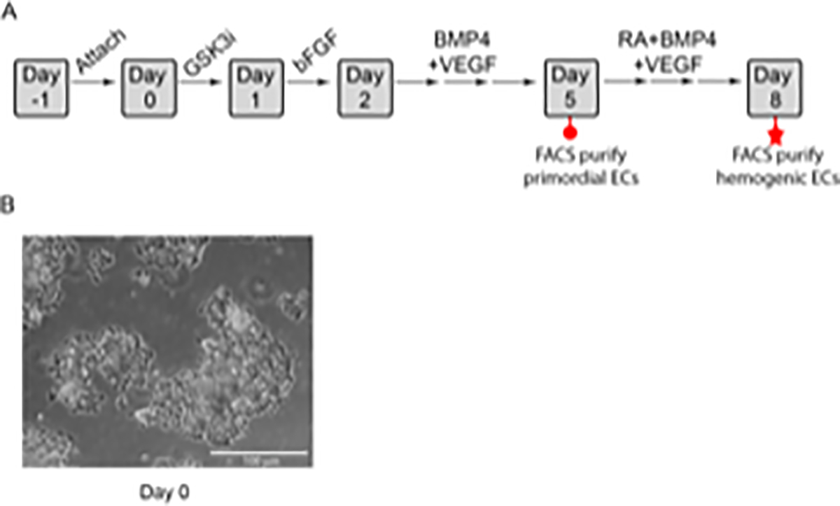 Figure 1: