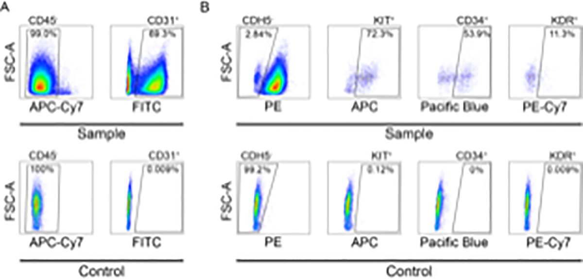 Figure 2: