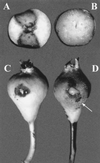 FIG. 4