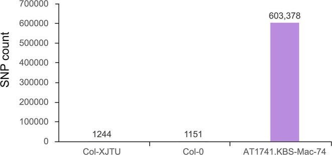 Supplementary Figure S13