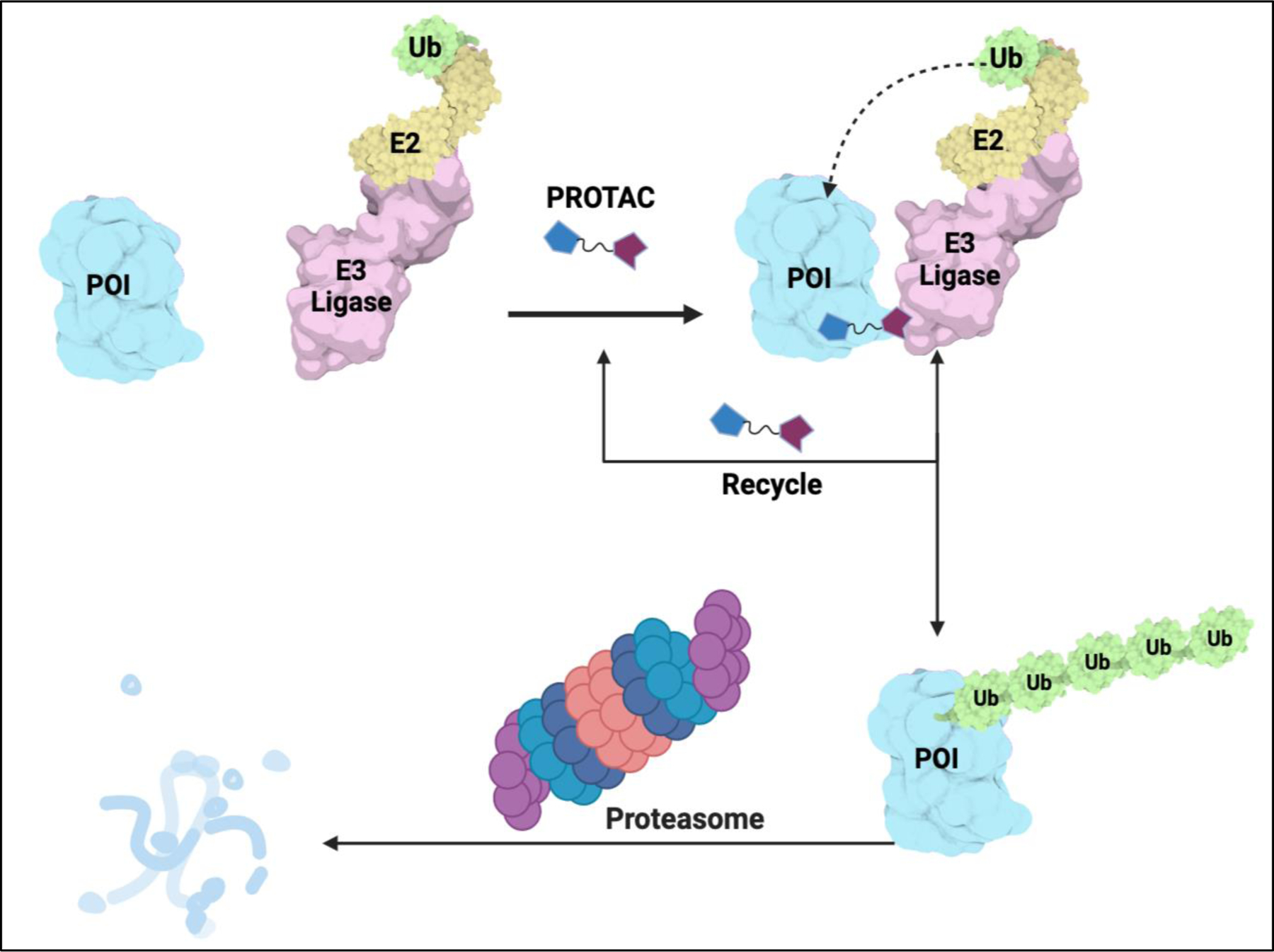 Figure 1: