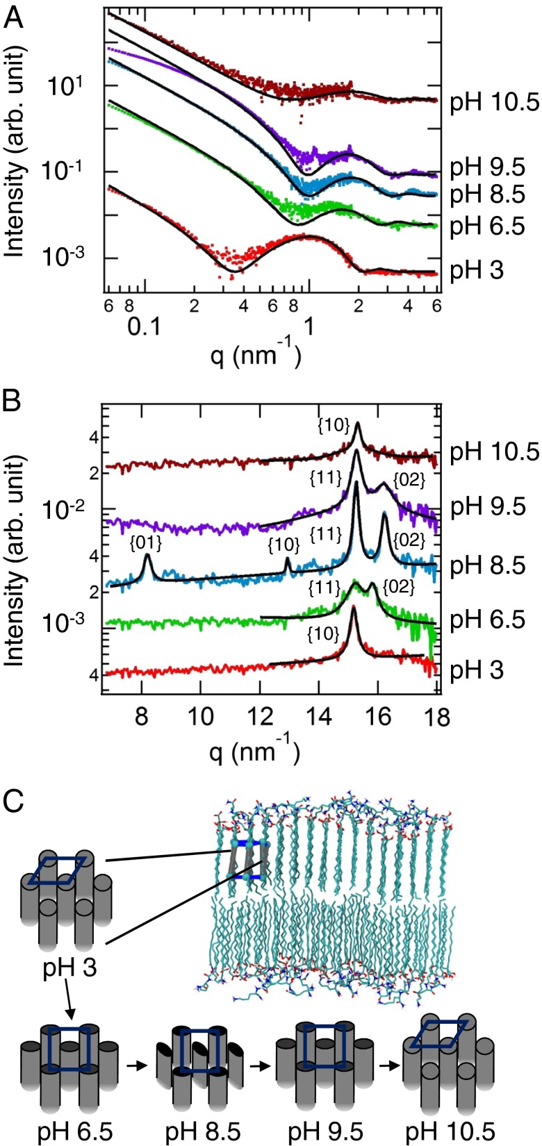 Fig. 2.