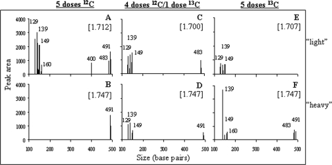 FIG. 2.