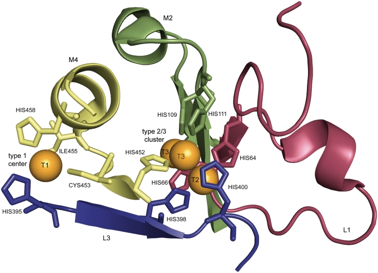 Figure 2.