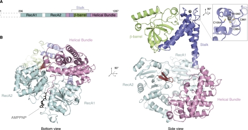 FIGURE 1.