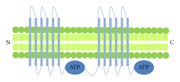 Figure 2