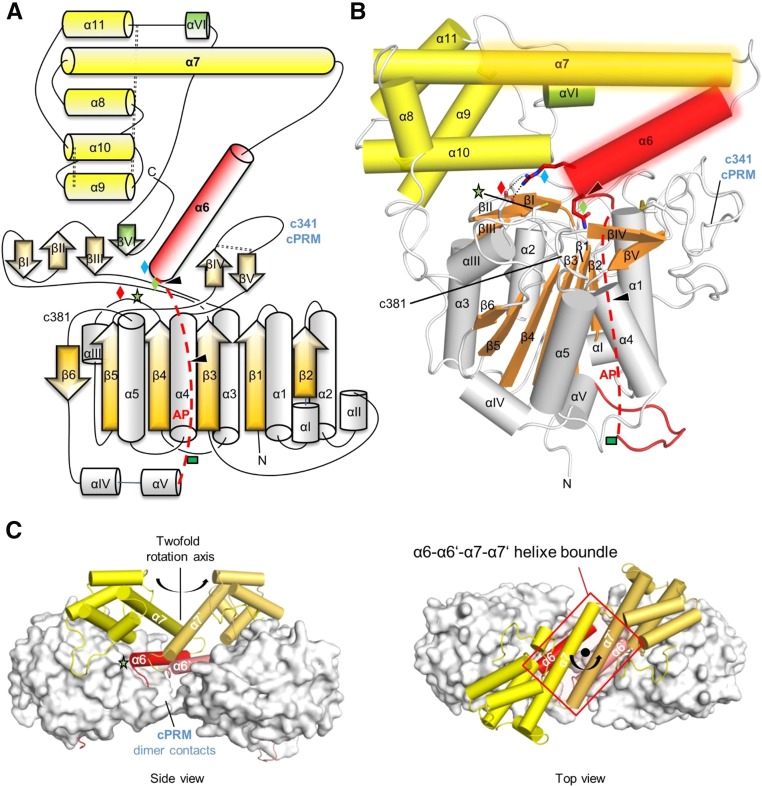 Figure 1.