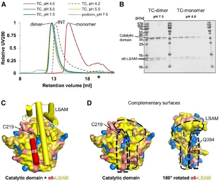 Figure 3.