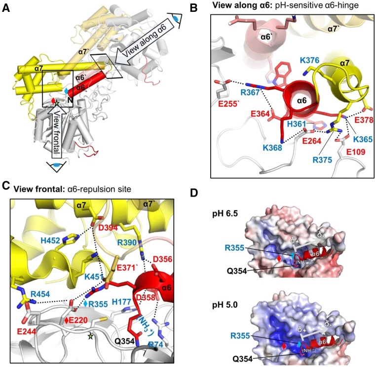 Figure 4.