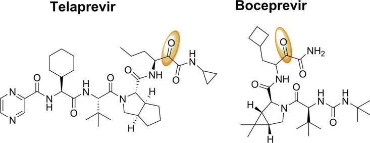 FIG 1