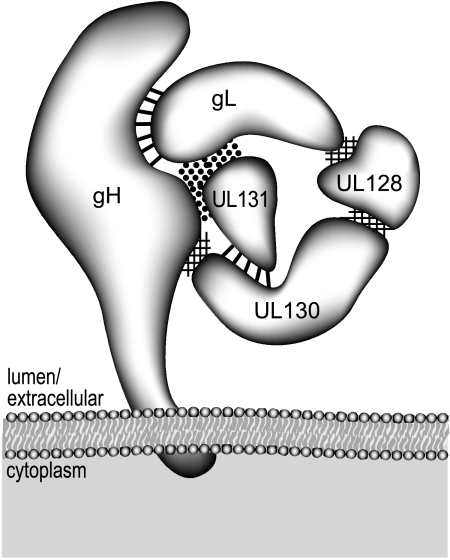 FIG. 10.