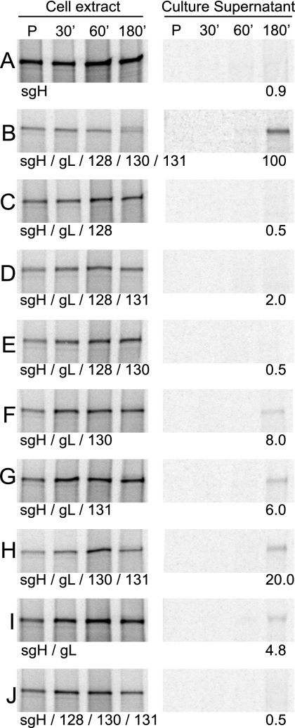 FIG. 8.