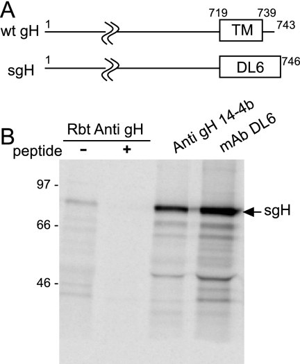 FIG. 7.