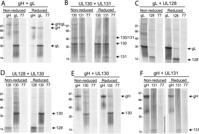 FIG. 9.