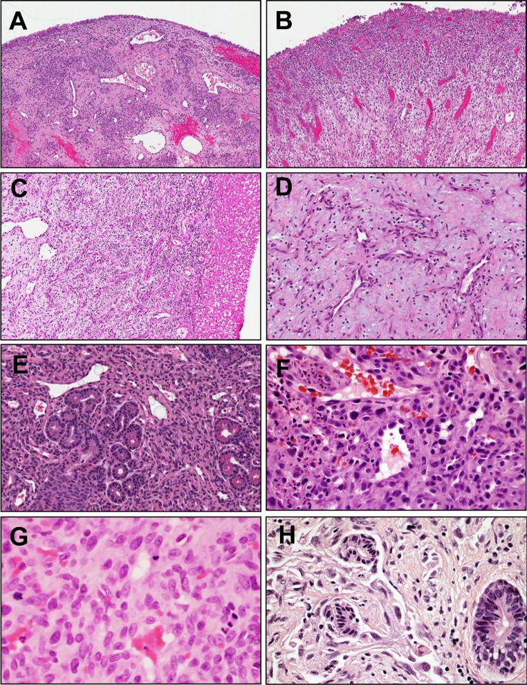 Fig. 1