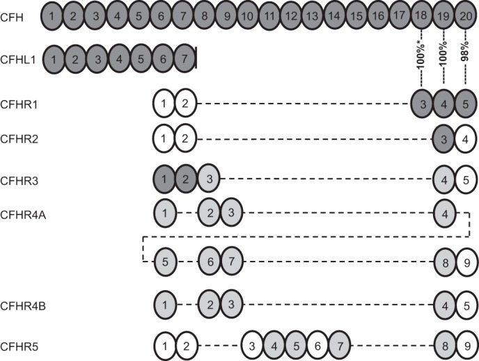 FIGURE 1.