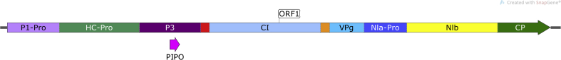 Fig. 6