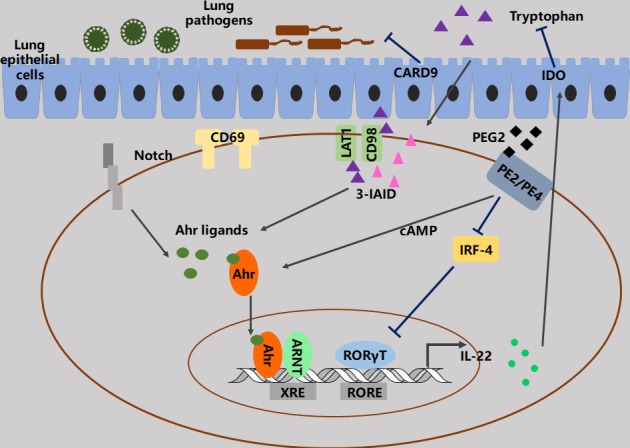 Figure 3