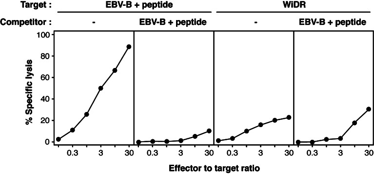 Fig. 7