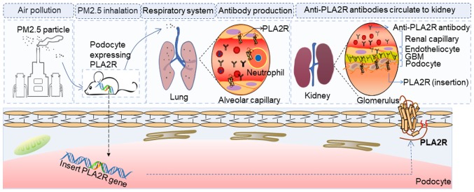 Figure 7.