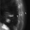 F<sc>ig</sc> 1.