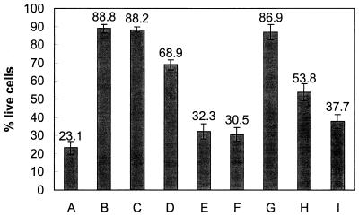 FIG. 5