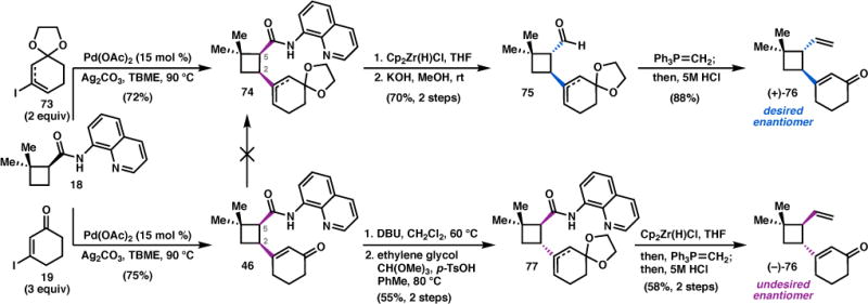 Scheme 8