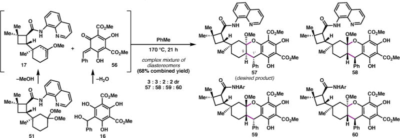 Scheme 5