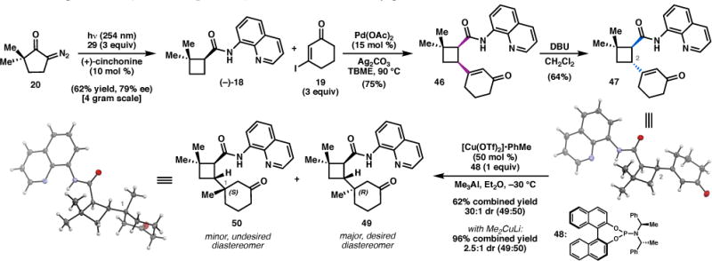 Scheme 3