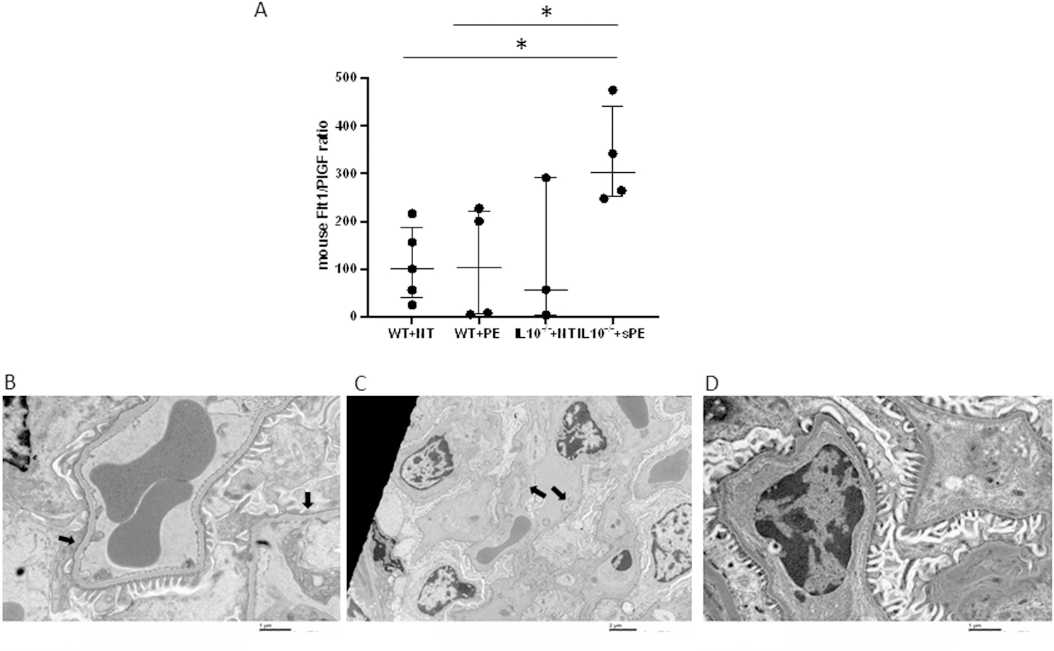 Figure 2: