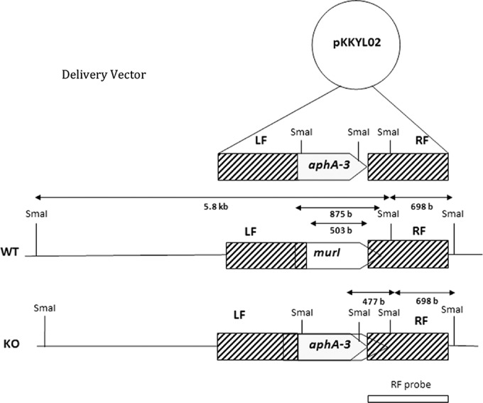 FIG 1