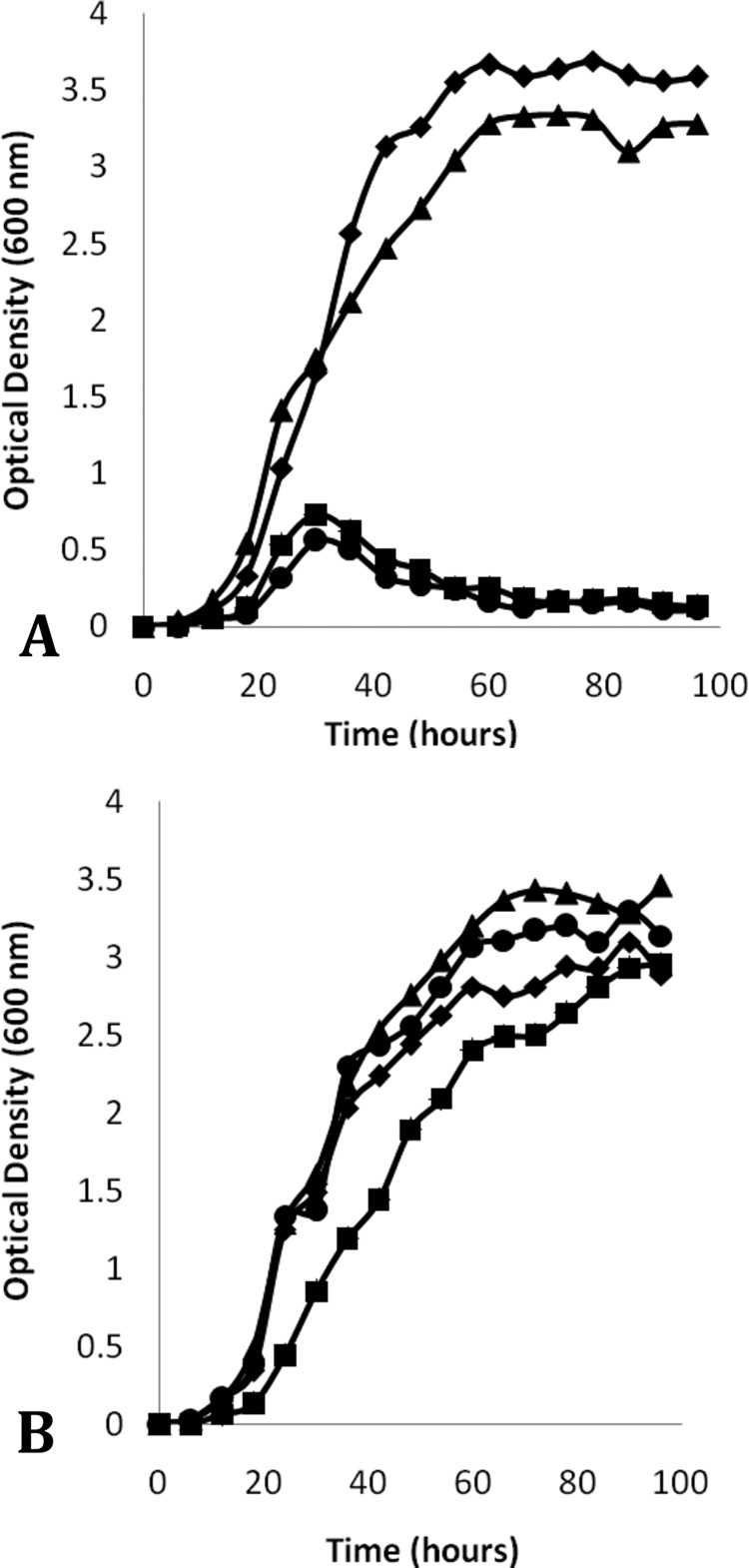 FIG 4