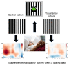 Graphical Abstract