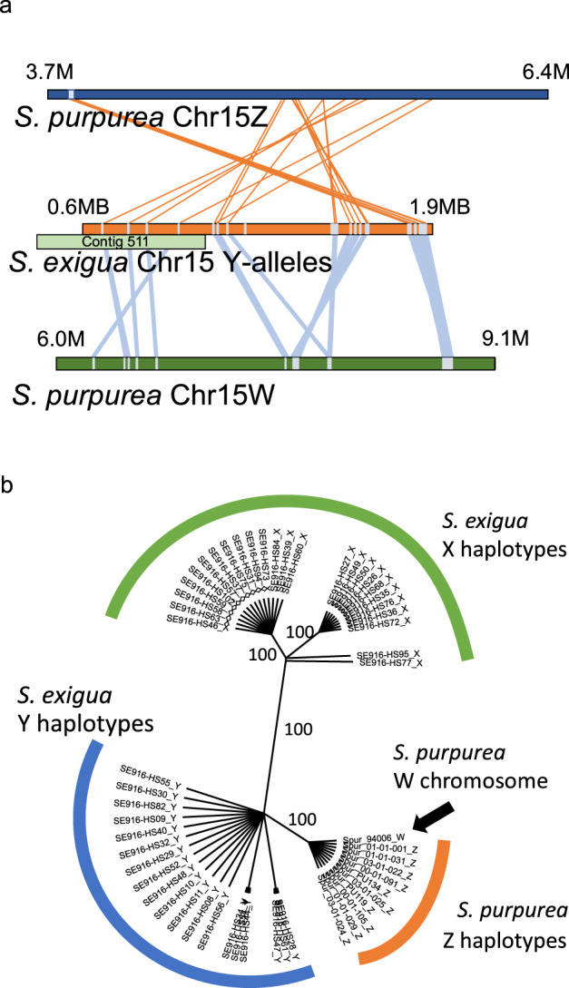 Fig. 4