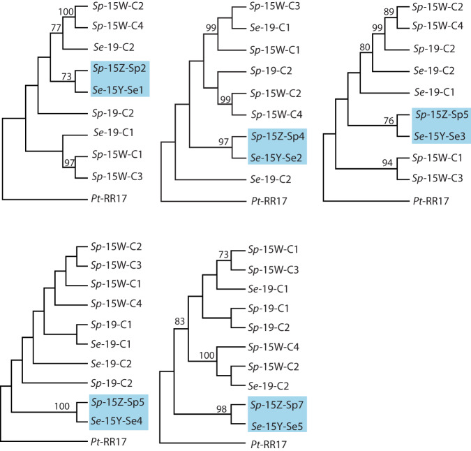 Fig. 6