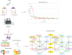 Image, graphical abstract