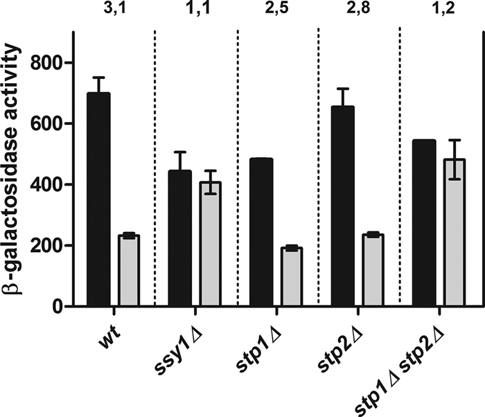 Fig. 1.