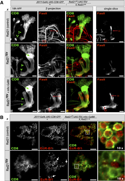 Figure 6