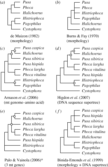 Figure 2.