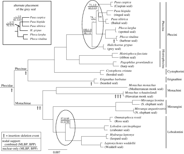 Figure 1.