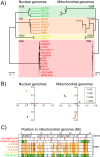 FIG 3