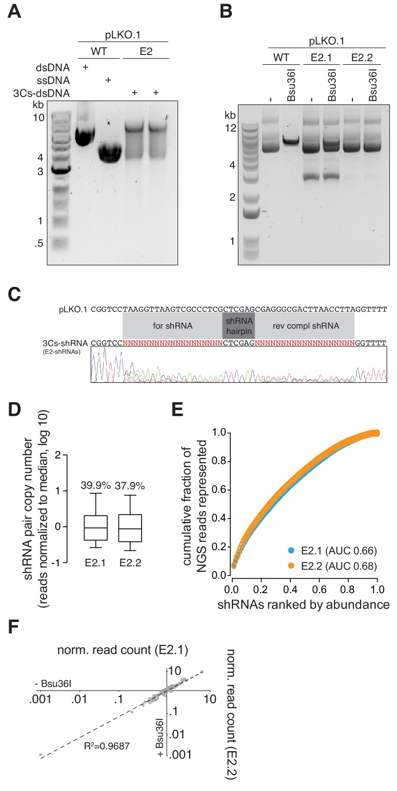 Figure 3—figure supplement 3.