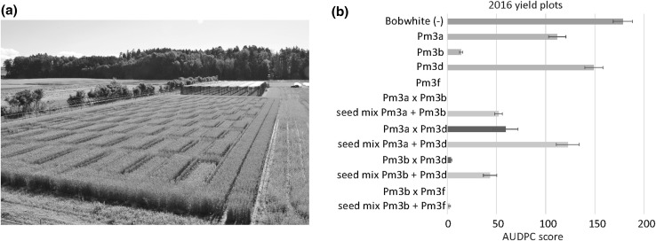 Fig. 3