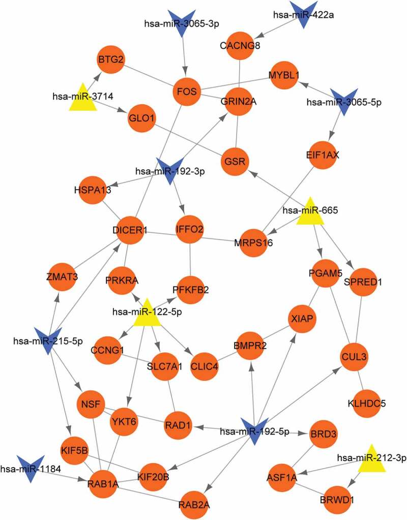 Figure 4.