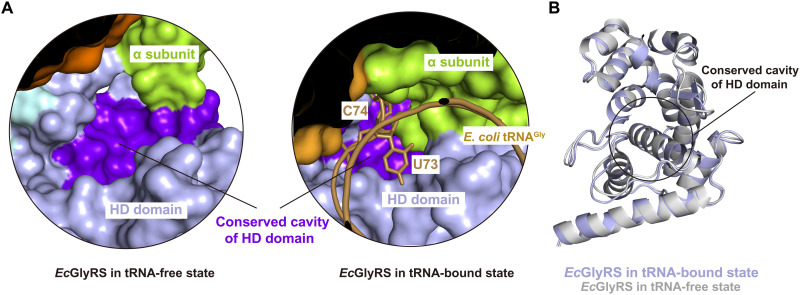 Fig. 6.