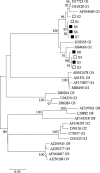 FIG. 1.