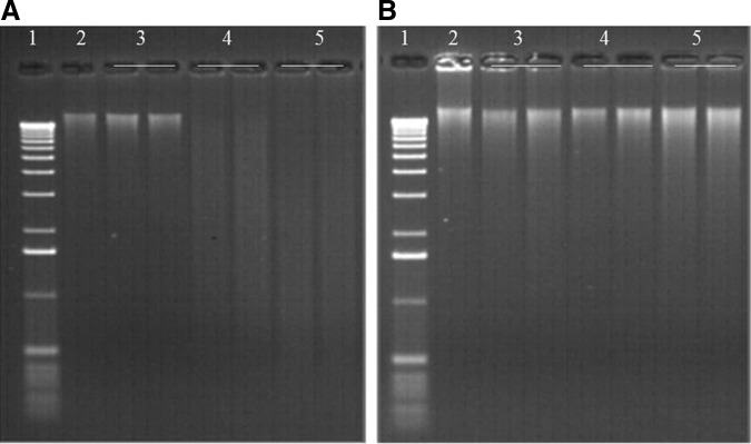 FIG. 7.