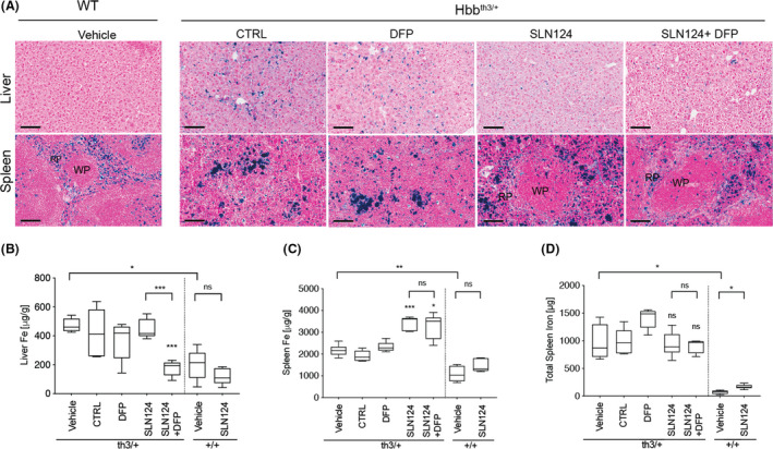 Fig 3