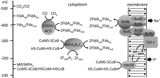 Fig. 5.